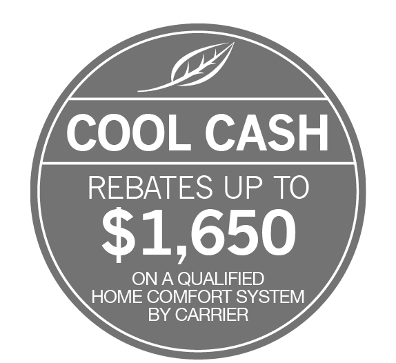 Cool Cash Logo
